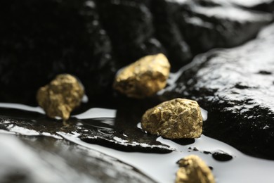 Photo of Shiny gold nuggets on wet stone, closeup