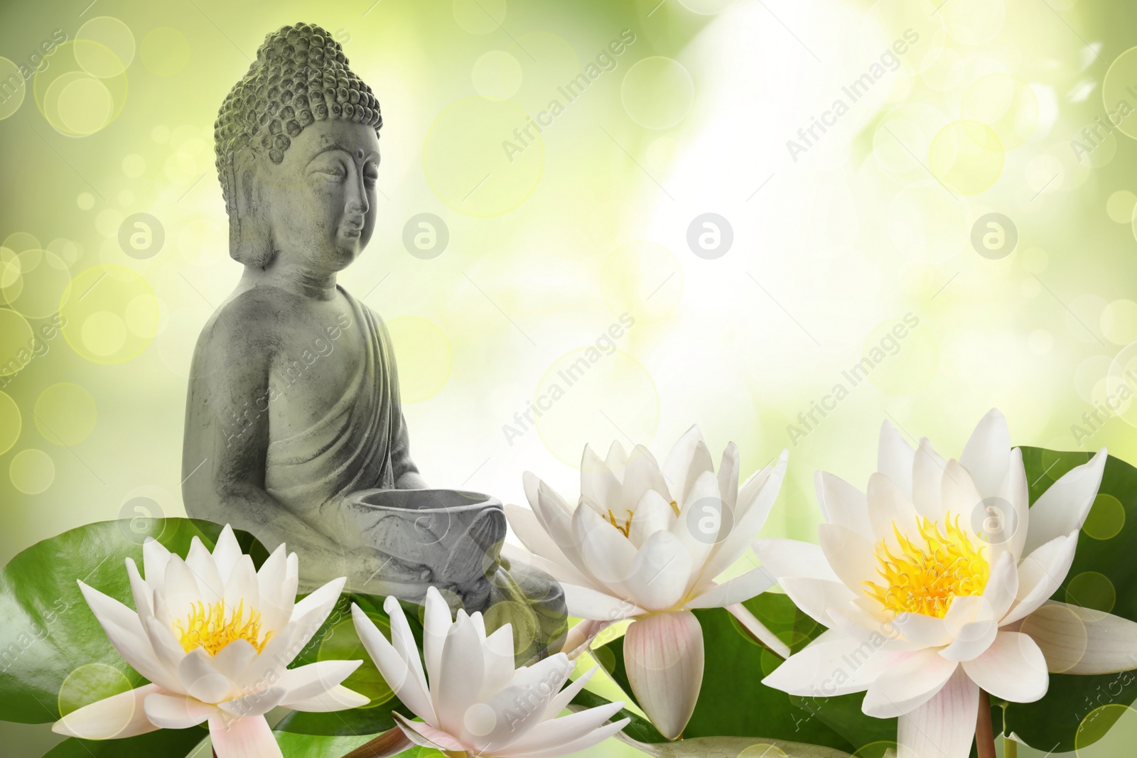 Image of Beautiful stone Buddha sculpture and lotus flowers on color background