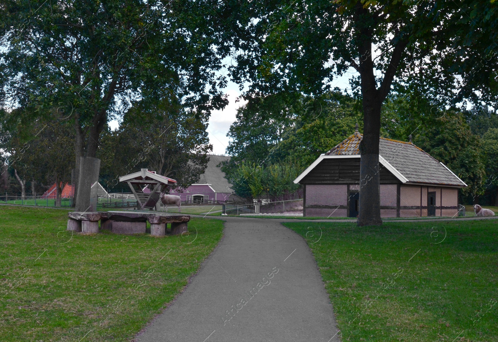 Photo of Picturesque view of petting zoo on autumn day