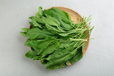 Photo of Fresh green sorrel leaves on light grey table, top view