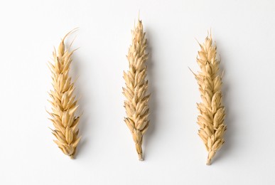 Ears of wheat on white background, top view