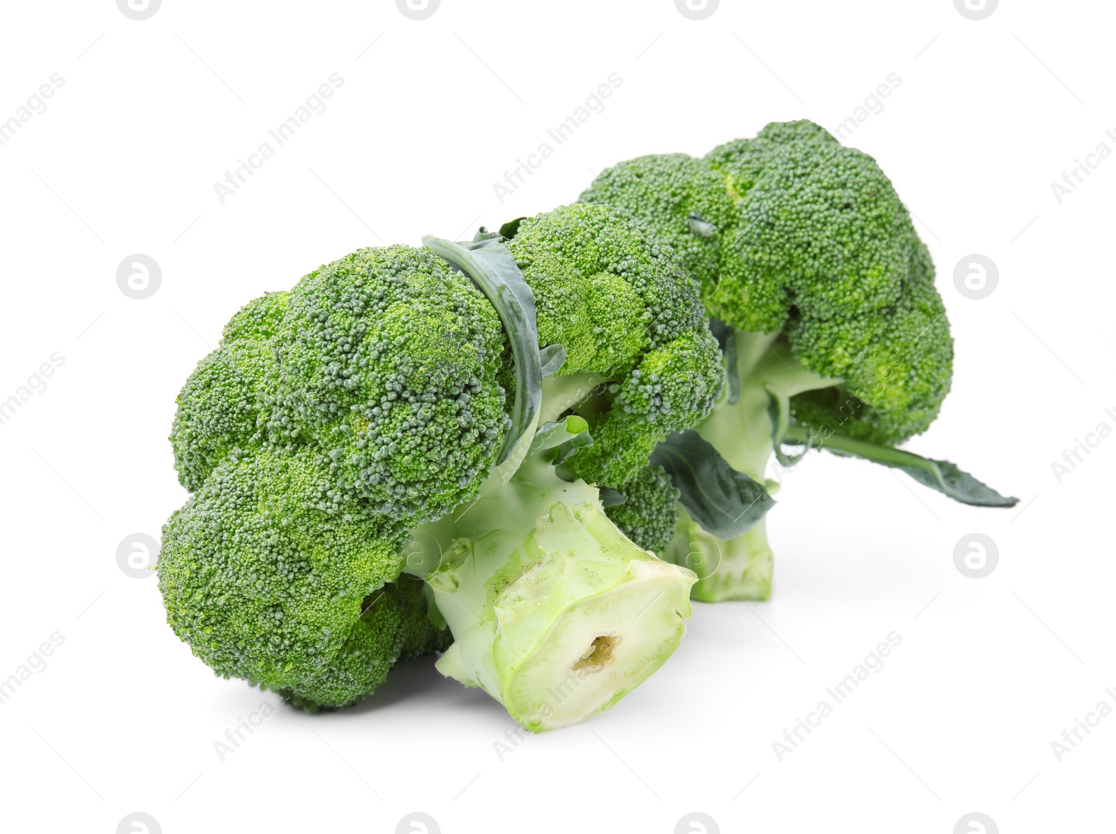 Photo of Fresh raw green broccoli isolated on white