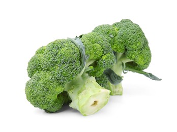 Photo of Fresh raw green broccoli isolated on white