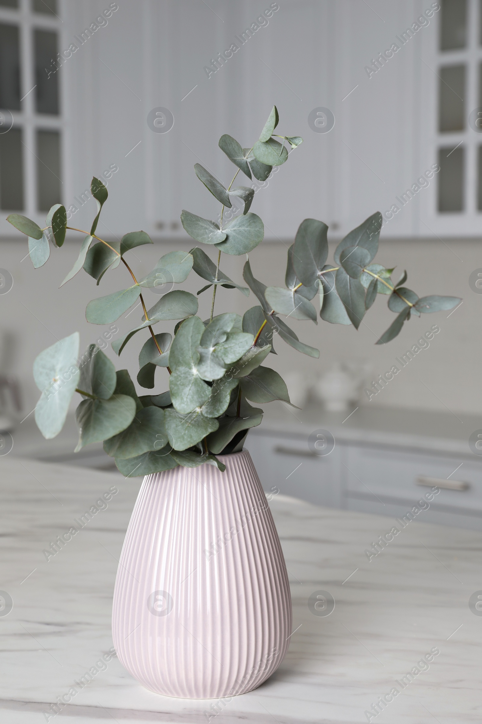 Photo of Vase with beautiful eucalyptus branches on white marble table in kitchen