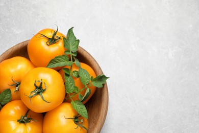 Photo of Fresh ripe yellow tomatoes with leaves on light grey table, top view. Space for text