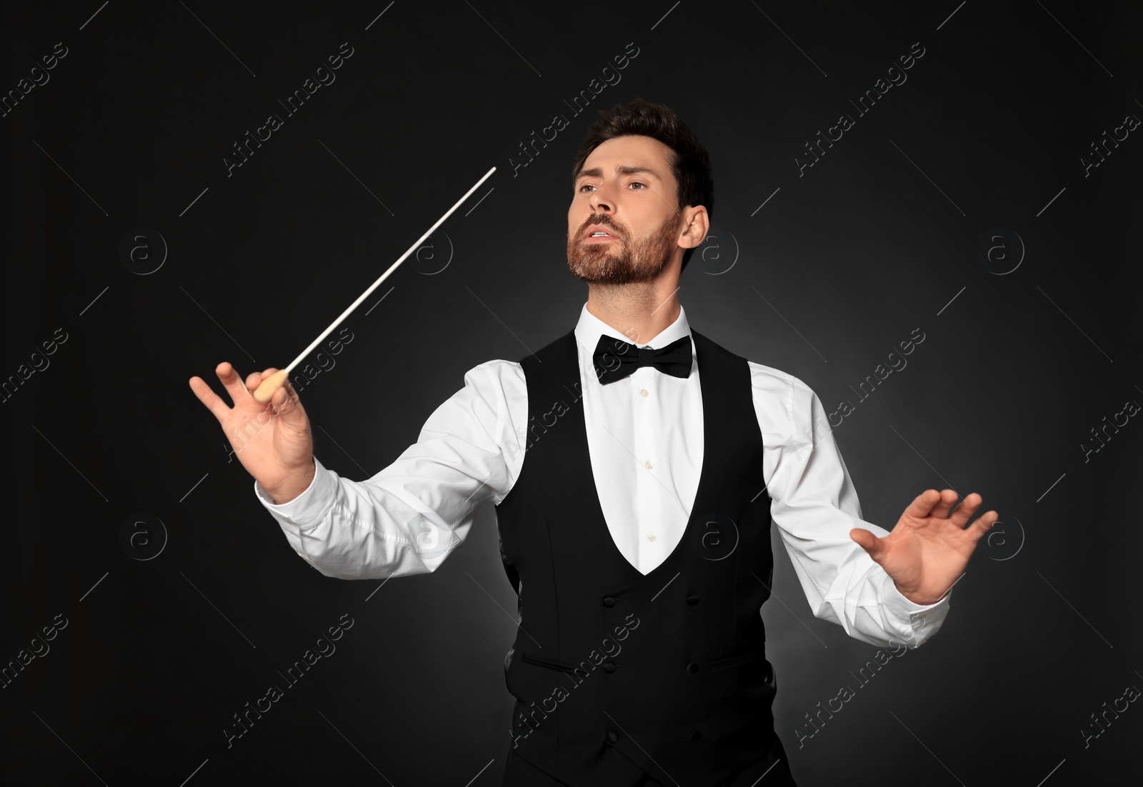 Photo of Professional conductor with baton on black background