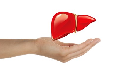 Image of Woman and illustration of liver on white background, closeup