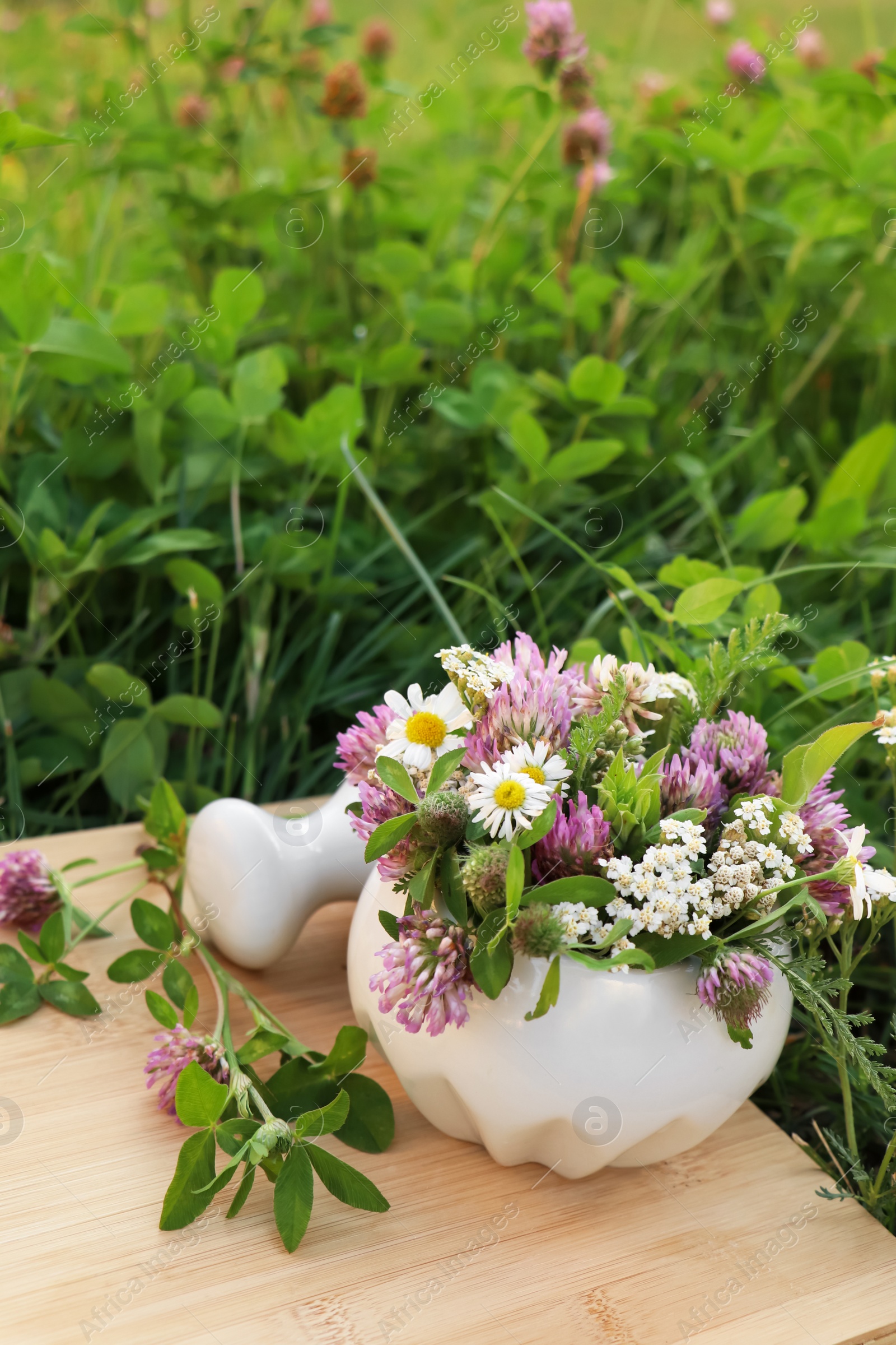 Photo of Ceramic mortar with pestle, different wildflowers and herbs on wooden board in meadow