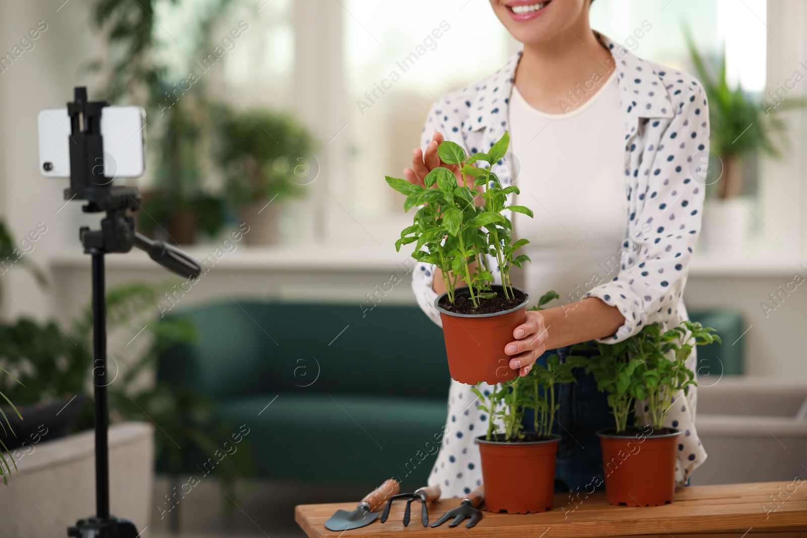 Photo of Teacher conducting online gardening course at home, closeup. Time for hobby