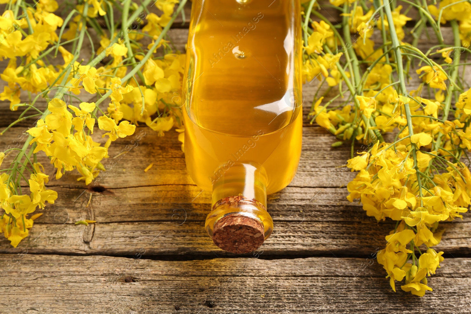 Photo of Rapeseed oil in glass bottle and beautiful yellow flowers on wooden table, closeup