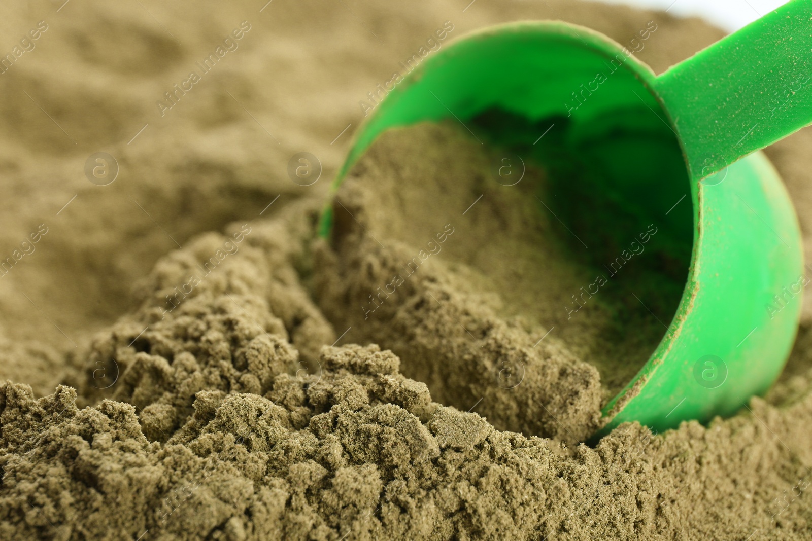 Photo of Hemp protein powder and measuring scoop, closeup