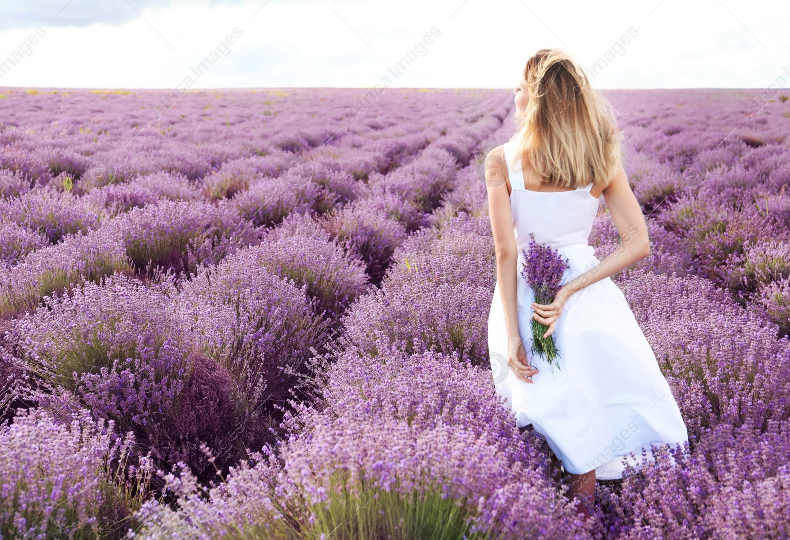 Photo of Young woman with bouquet in lavender field