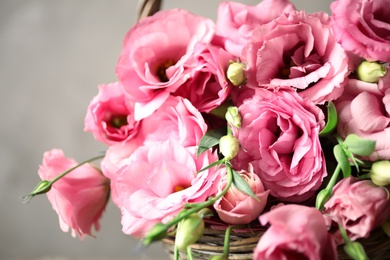 Photo of Beautiful pink Eustoma flowers on grey background, closeup