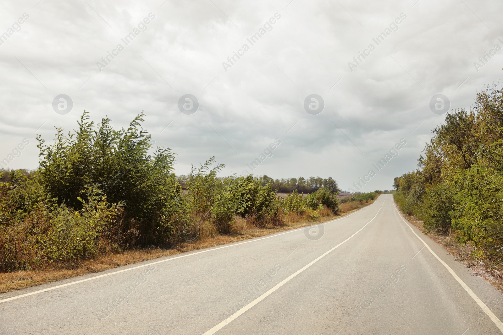 Photo of Beautiful view of empty asphalt highway. Road trip