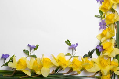 Beautiful yellow daffodils and periwinkle flowers on white background, top view. Space for text