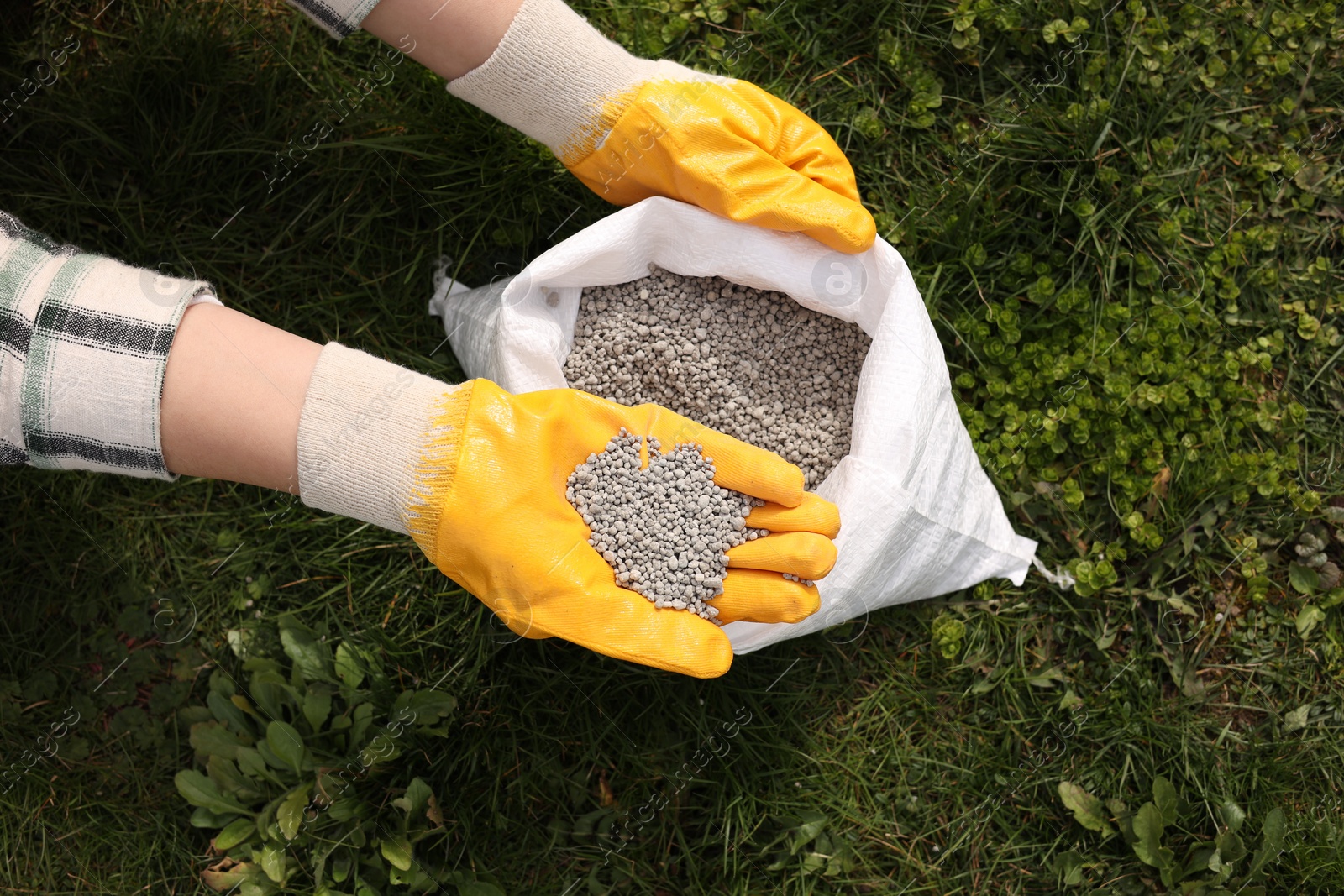 Photo of Woman with fertilizer on green grass outdoors, top view