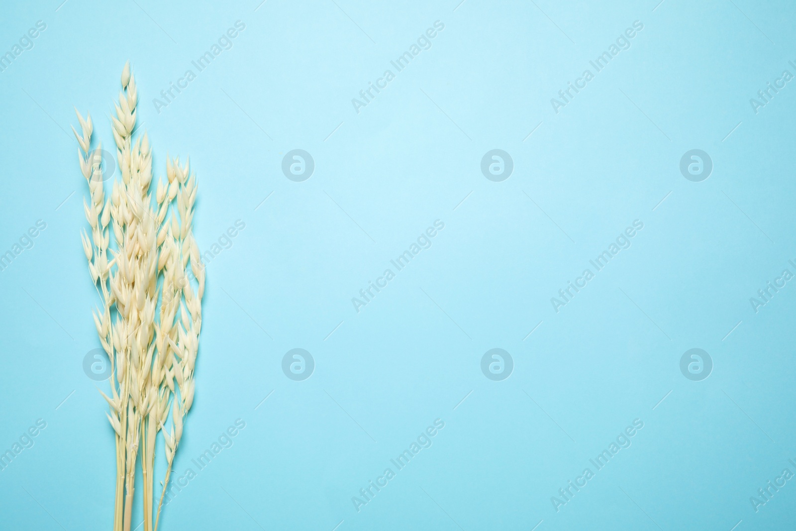 Photo of Bouquet of dried flowers on light blue background, flat lay. Space for text