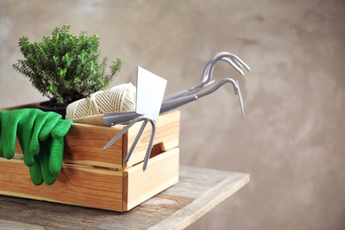 Wooden crate with plant and professional gardening tools on table