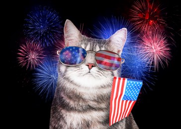 Image of 4th of July - Independence Day of USA. Cute cat with sunglasses and American flag on dark background with fireworks 