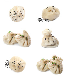 Image of Set of tasty baozi dumplings isolated on white