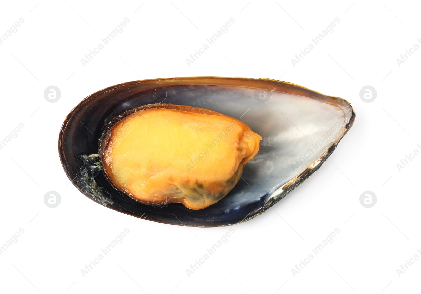 Photo of Fresh mussel isolated on white, top view