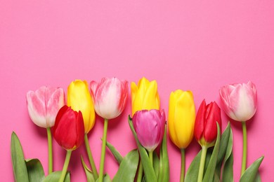 Photo of Beautiful colorful tulips on pink background, flat lay. Space for text