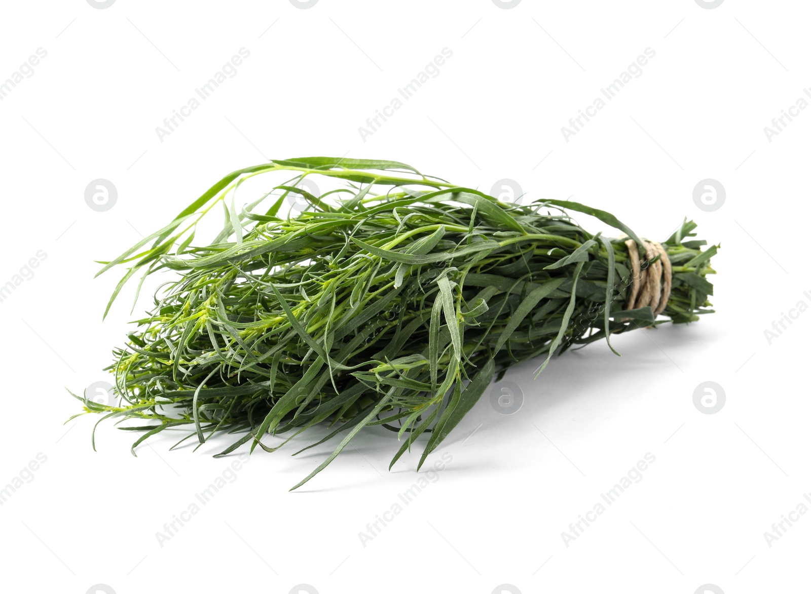 Photo of Bunch of fresh tarragon on white background