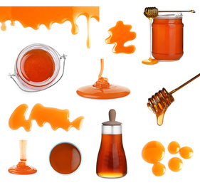 Set of organic delicious honey on white background