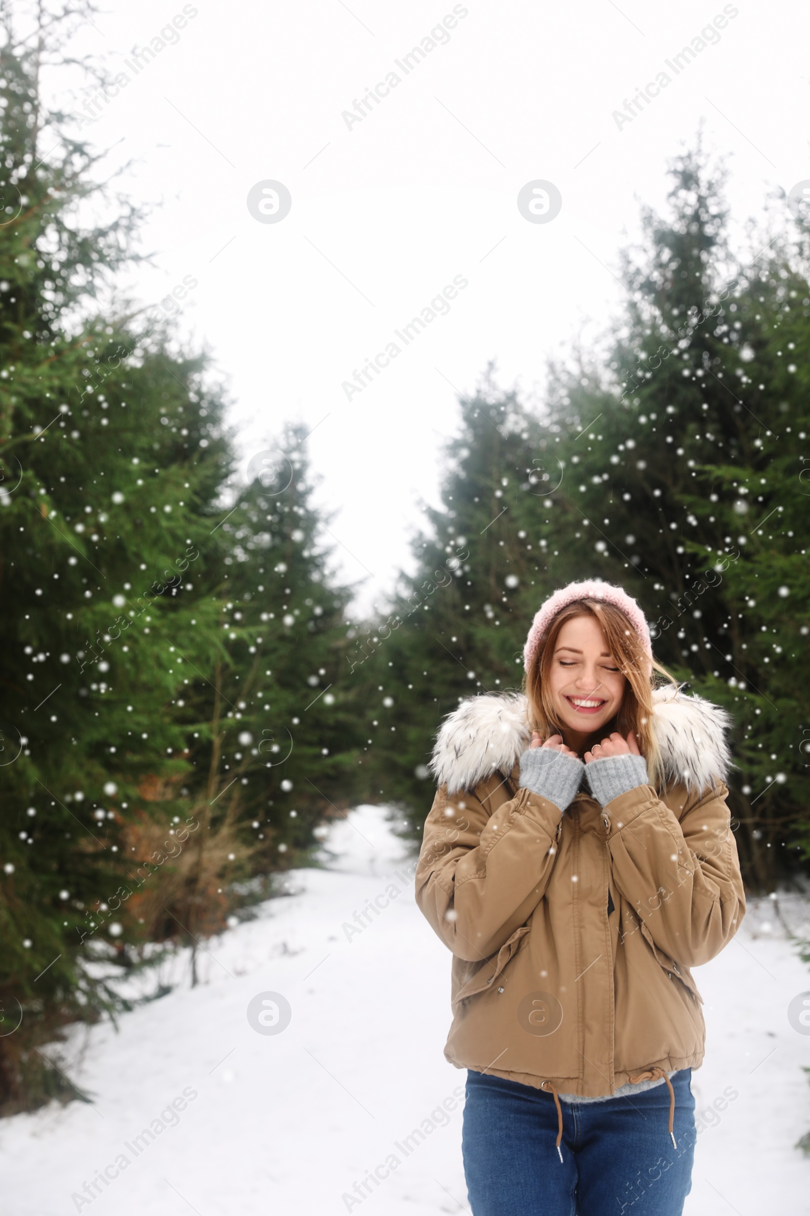 Photo of Young woman in snowy conifer forest. Winter vacation