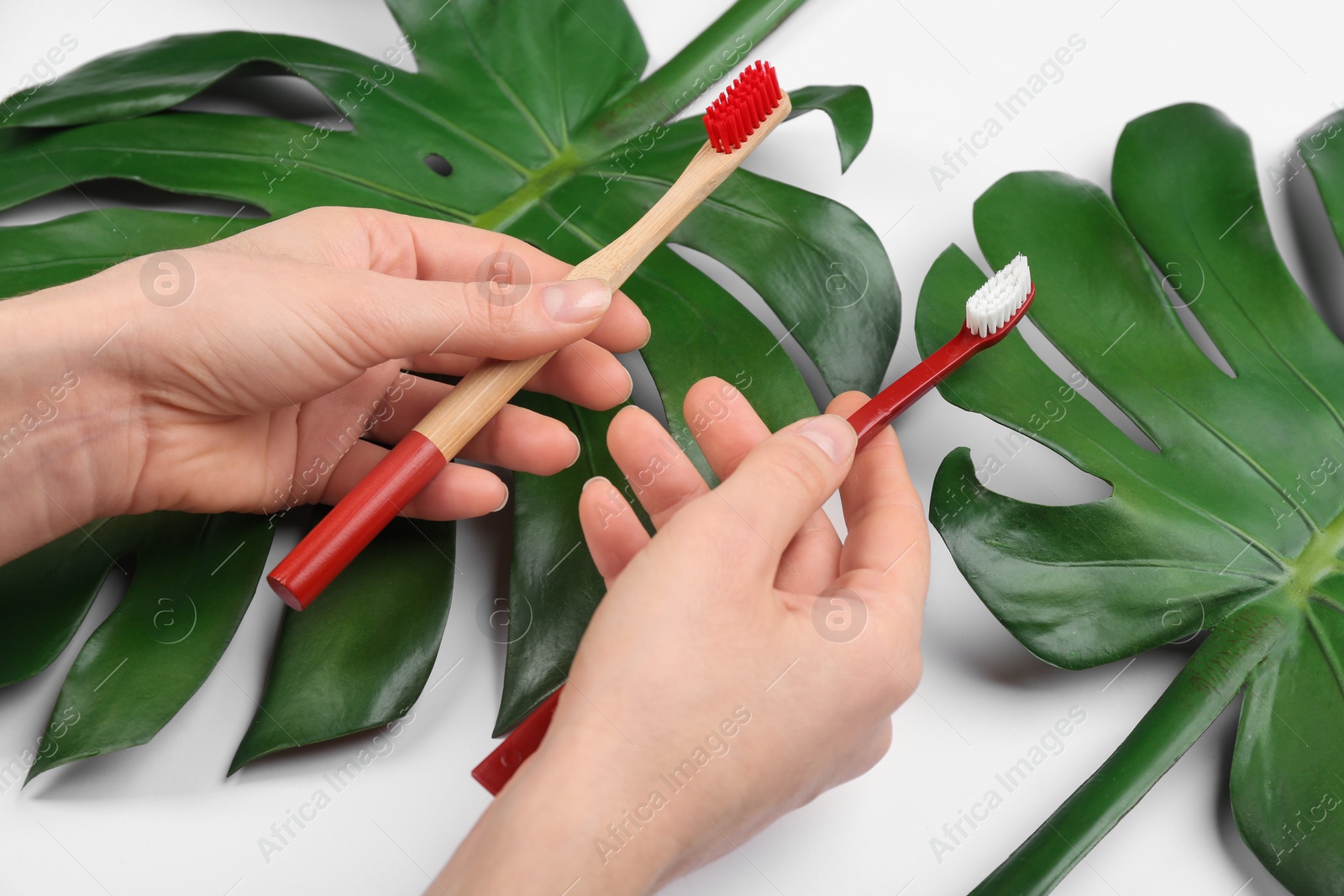 Photo of Woman holding natural bamboo and plastic toothbrushes above tropical leaves on white background, closeup