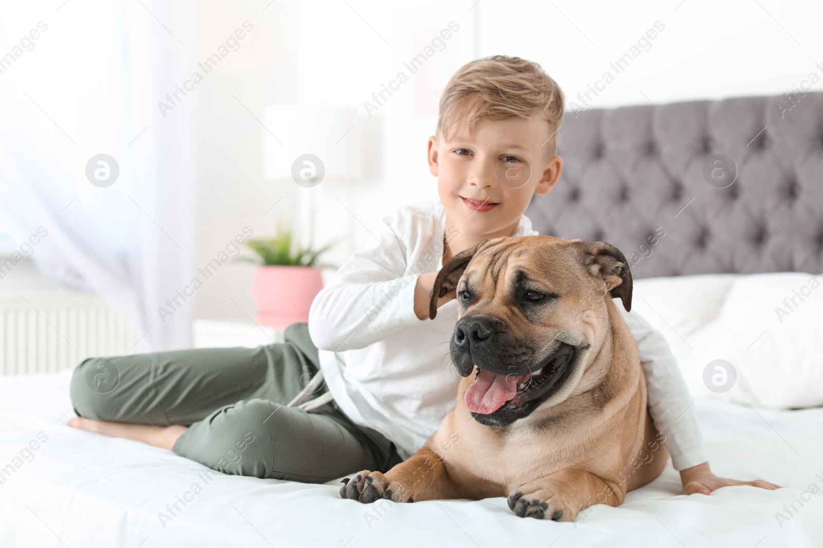 Photo of Cute little child with his dog resting on bed at home