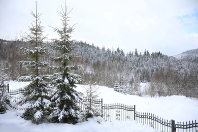 Photo of Beautiful landscape with forest on snowy winter day