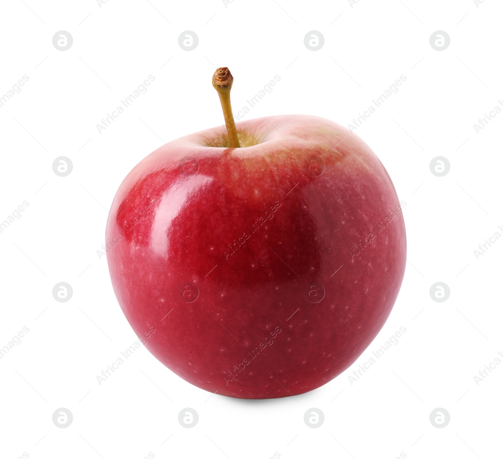 Photo of One ripe red apple isolated on white