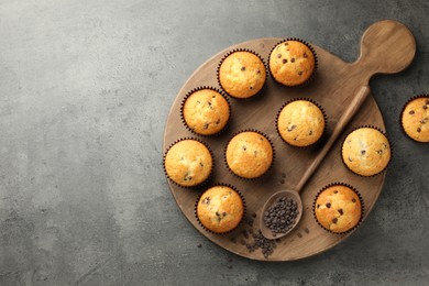 Photo of Delicious freshly baked muffins with chocolate chips on gray table, top view. Space for text