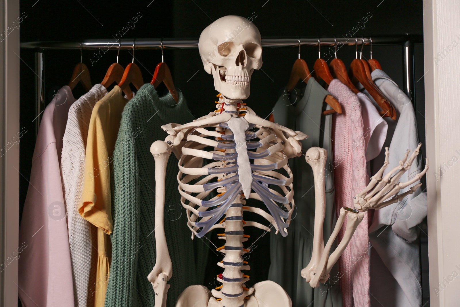 Photo of Artificial human skeleton model among clothes in wardrobe