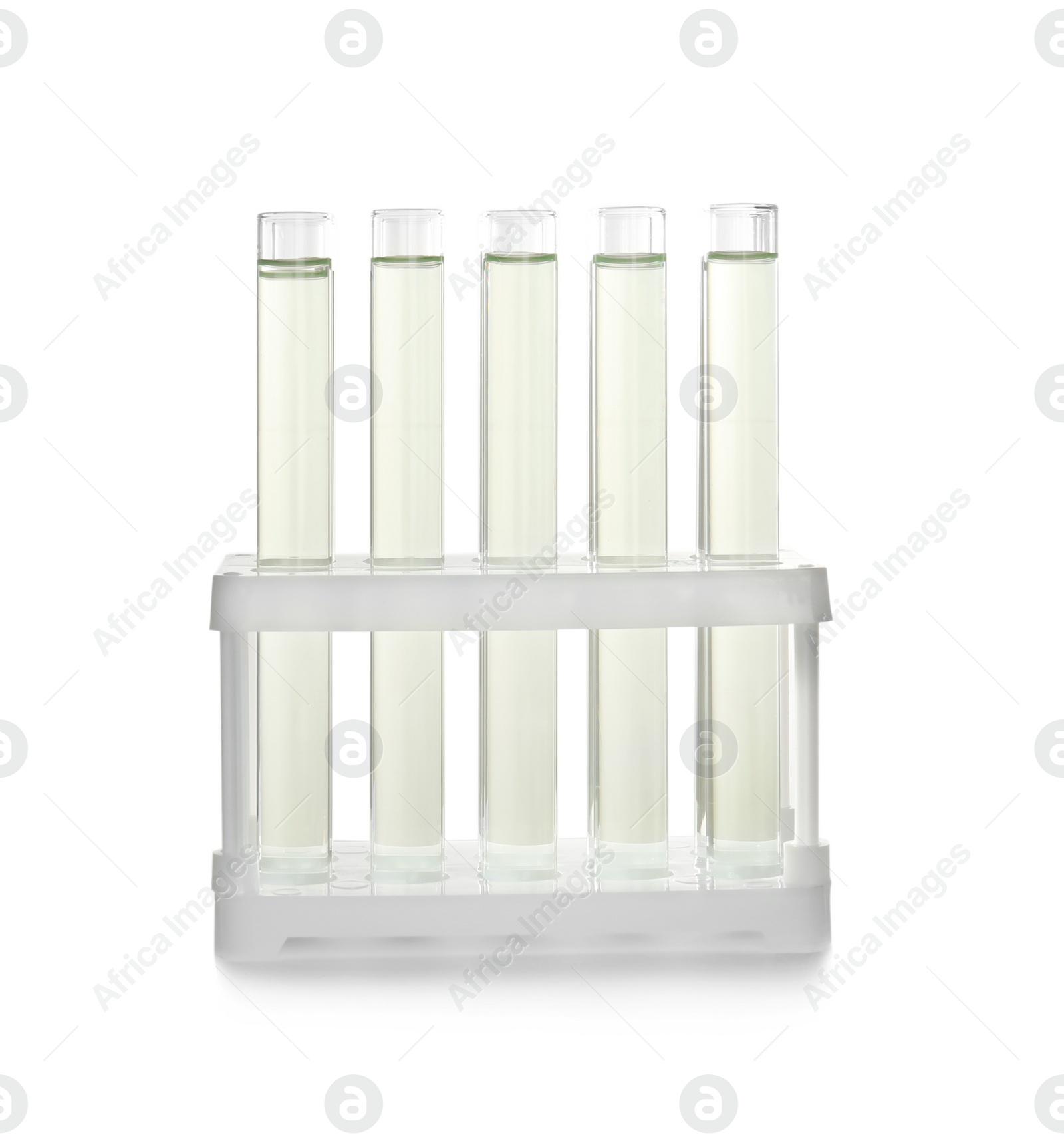 Photo of Holder with test tubes on white background. Laboratory analysis