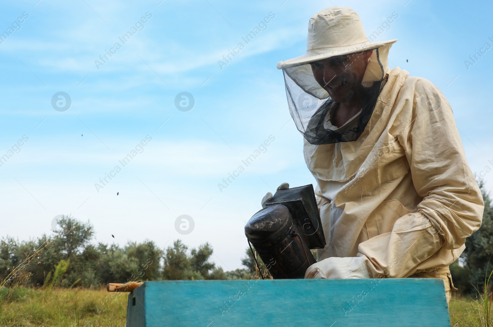 Photo of Beekeeper calming bees in hive with smokepot at apiary