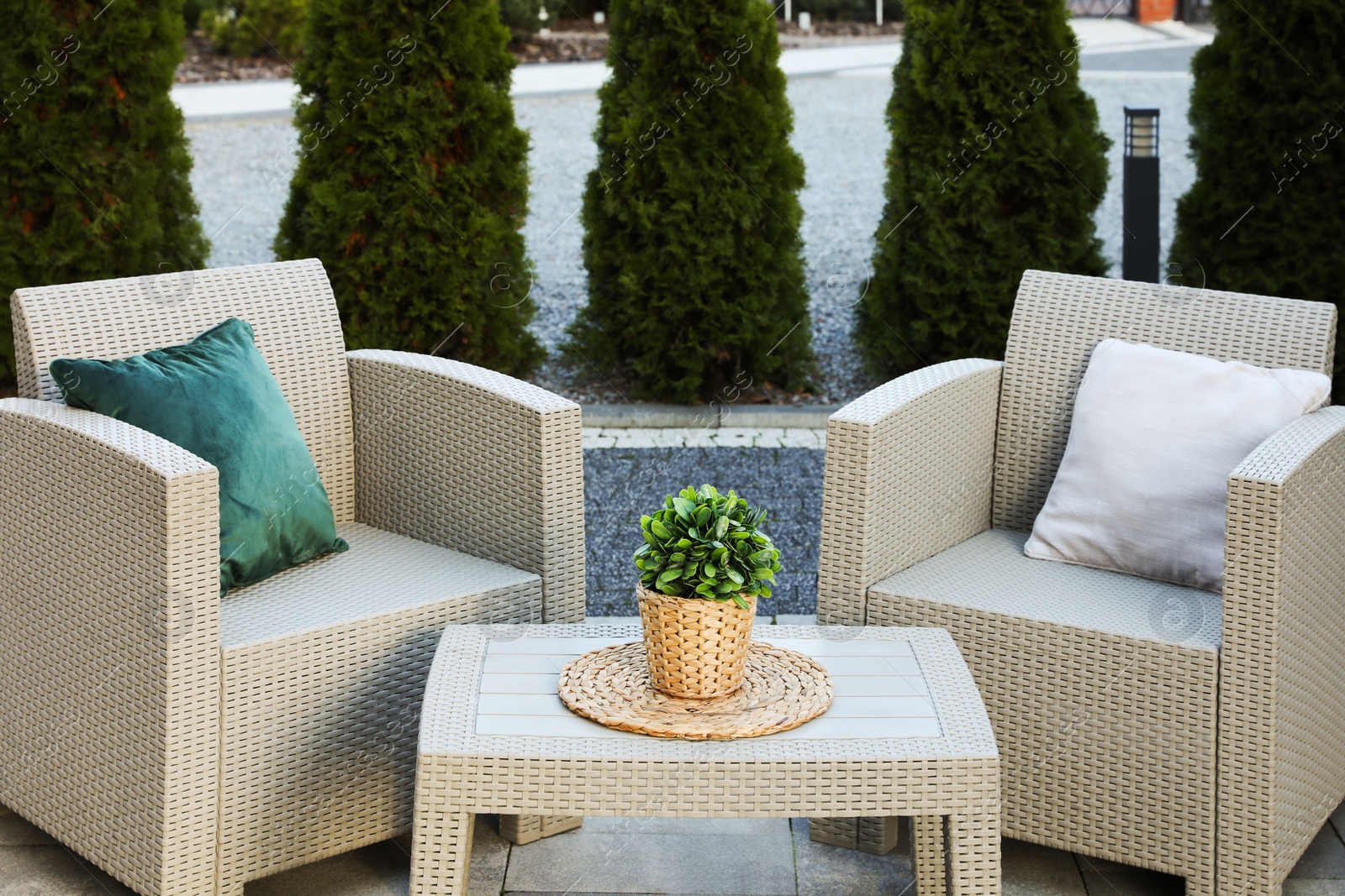 Photo of Beautiful rattan garden furniture, soft pillows and houseplant outdoors