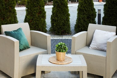 Beautiful rattan garden furniture, soft pillows and houseplant outdoors