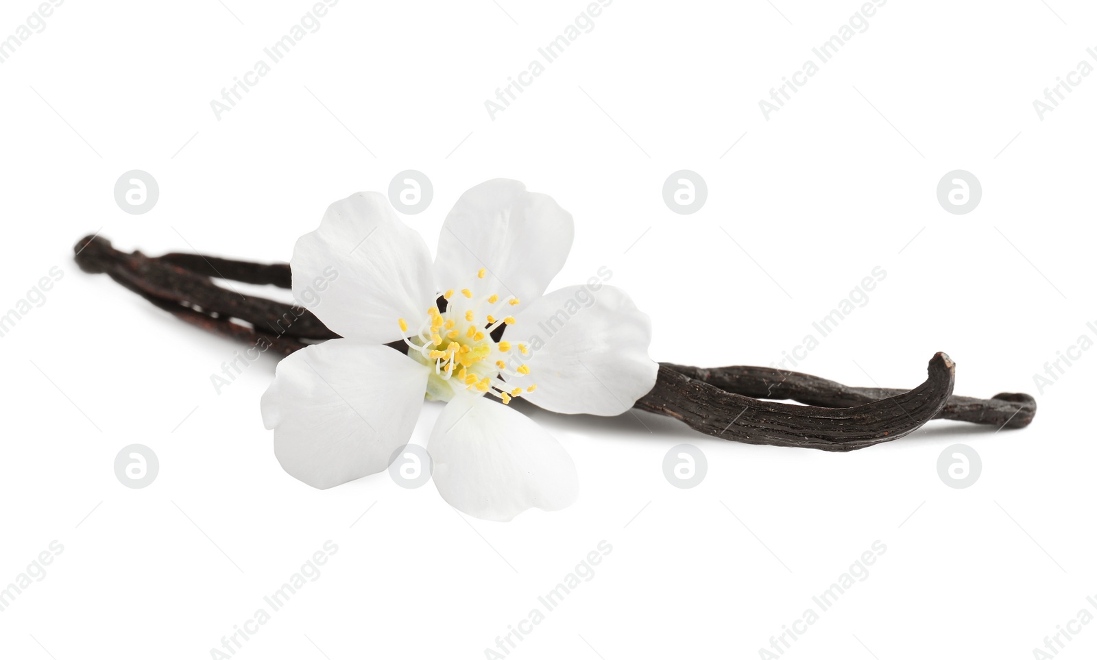 Photo of Aromatic vanilla sticks and flower on white background