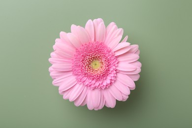 Photo of Beautiful pink gerbera flower on pale green background, top view