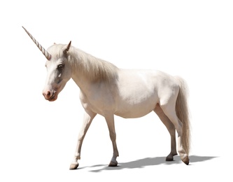 Image of Amazing unicorn with beautiful mane on white background