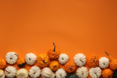 Photo of Different fresh ripe pumpkins on orange background, flat lay. Space for text