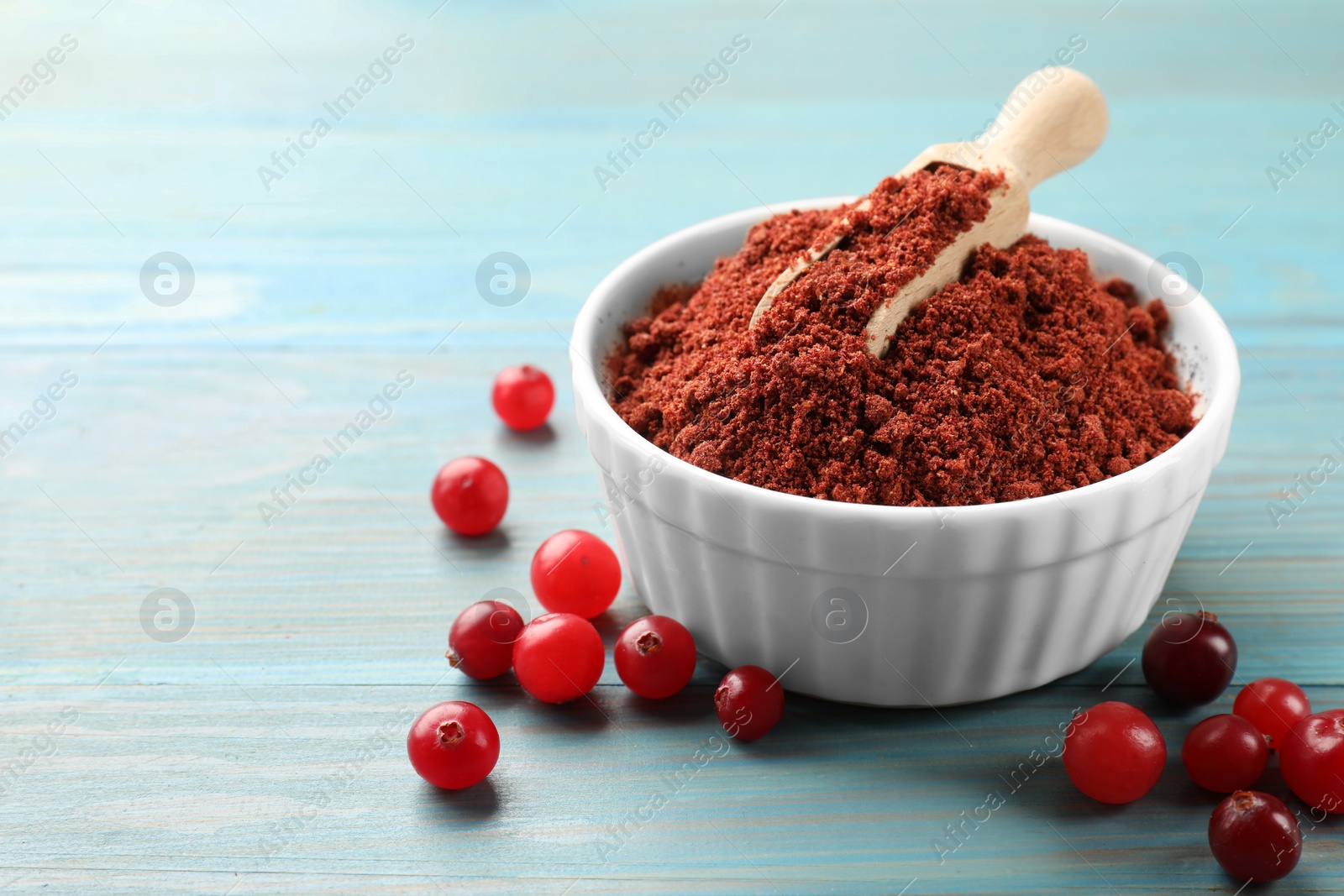 Photo of Cranberry powder in bowl, scoop and fresh berries on light blue wooden table, closeup. Space for text