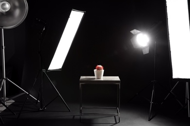 Interior of modern photo studio with table, cactus and professional lighting equipment