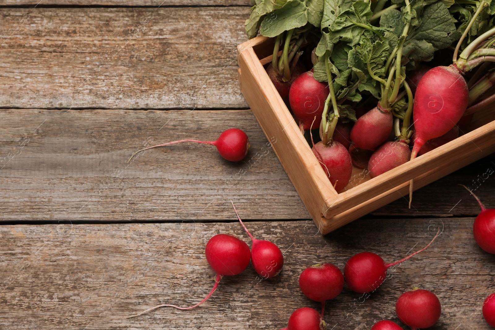 Photo of Crate with fresh ripe radishes on wooden table, space for text