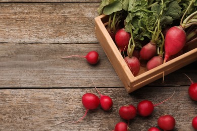 Crate with fresh ripe radishes on wooden table, space for text