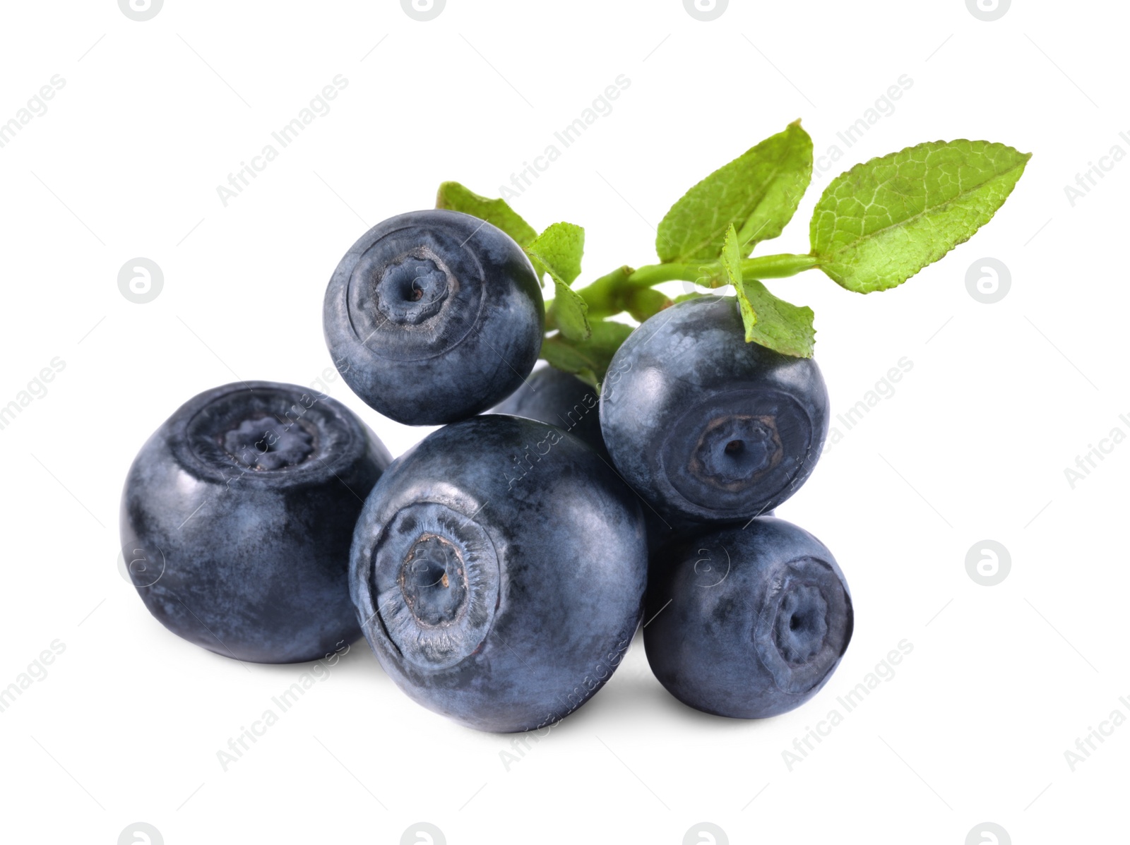 Photo of Delicious ripe bilberries and green leaves isolated on white