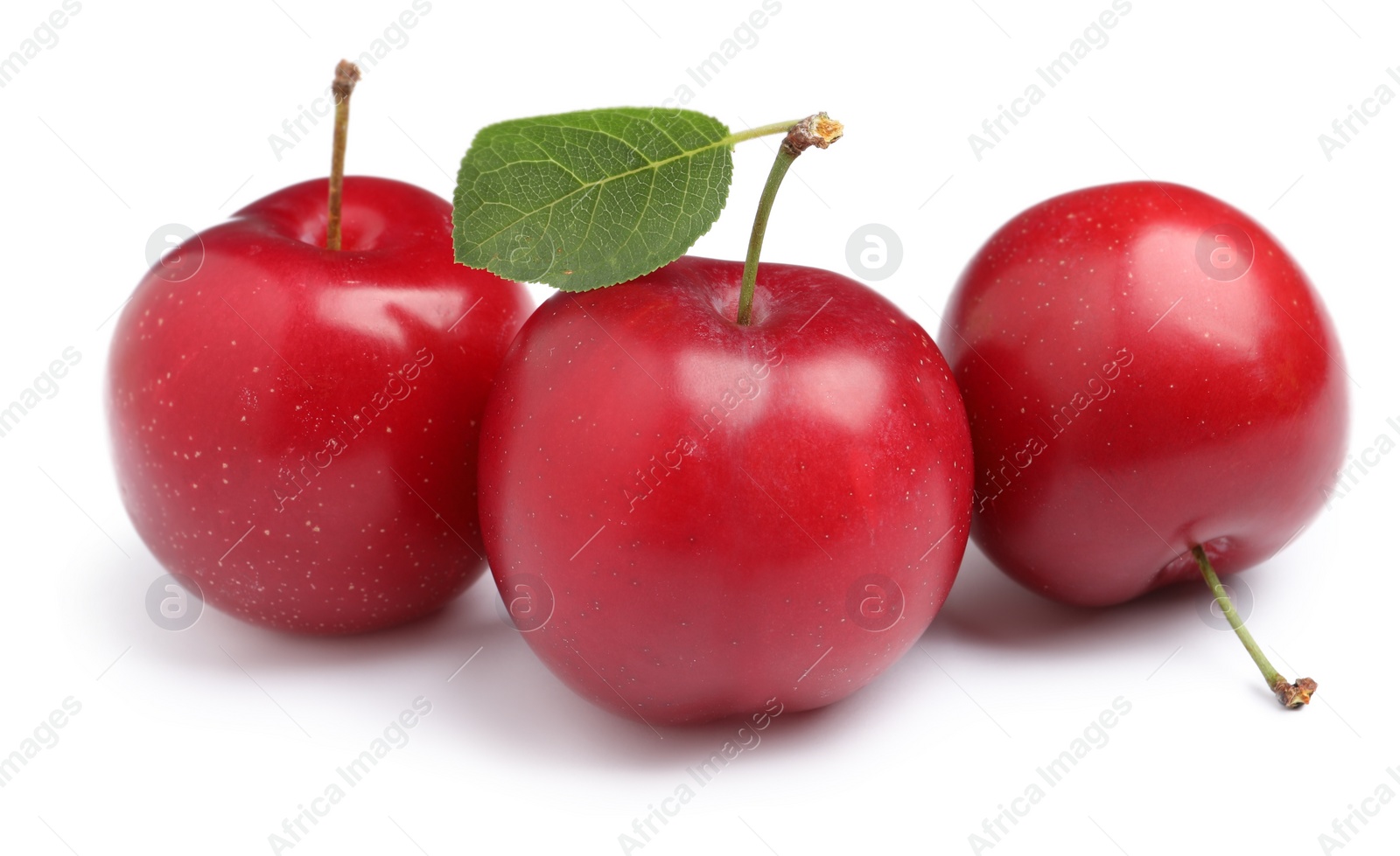 Photo of Delicious ripe cherry plums with leaf on white background