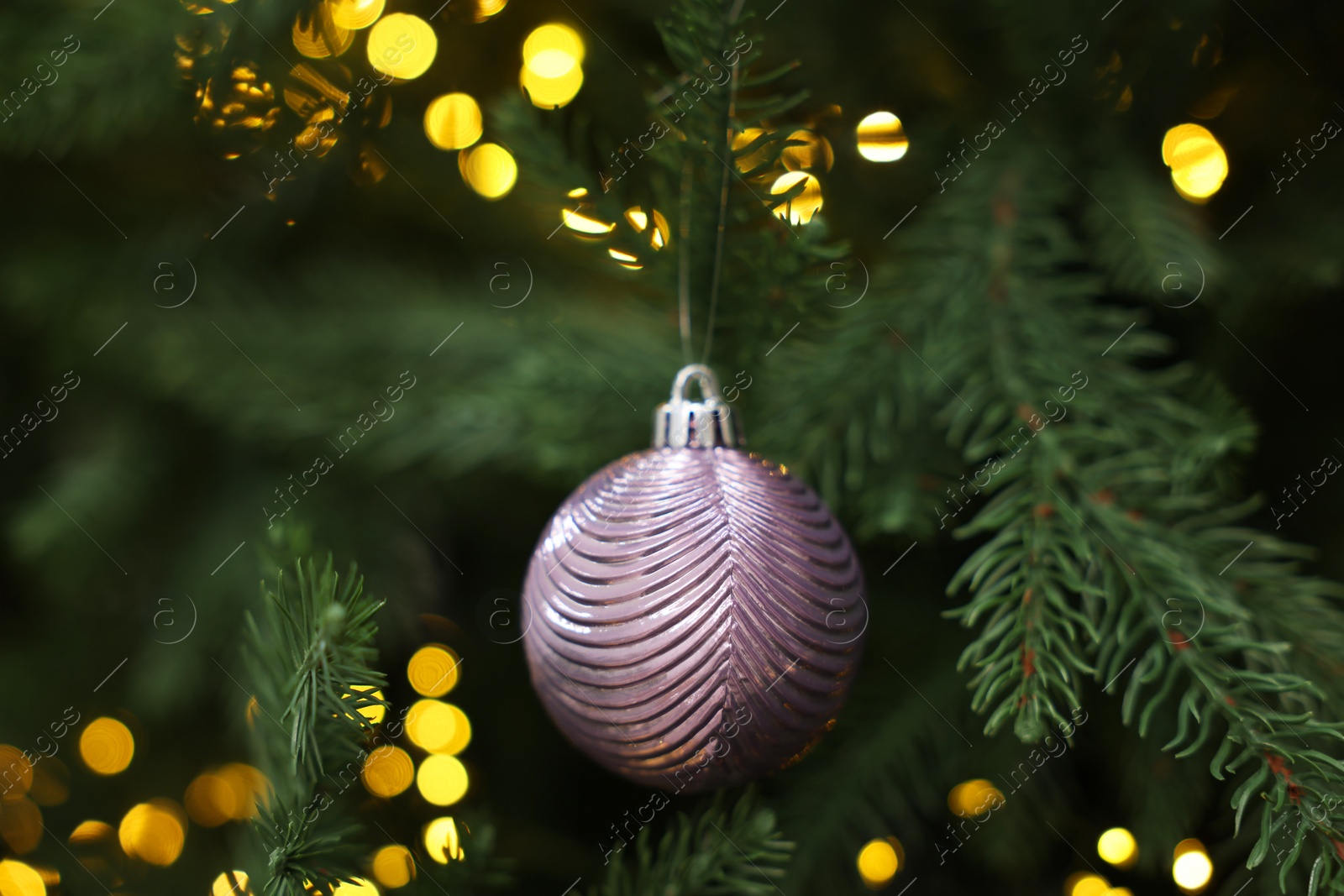 Photo of Beautiful Christmas ball hanging on fir tree branch, closeup